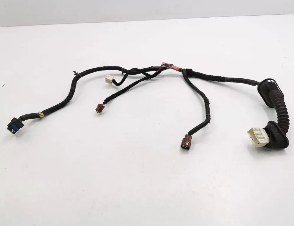 NISSAN Murano Z50 (2002-2008) Дверные кабели задние правые 6101000099F1 36120504