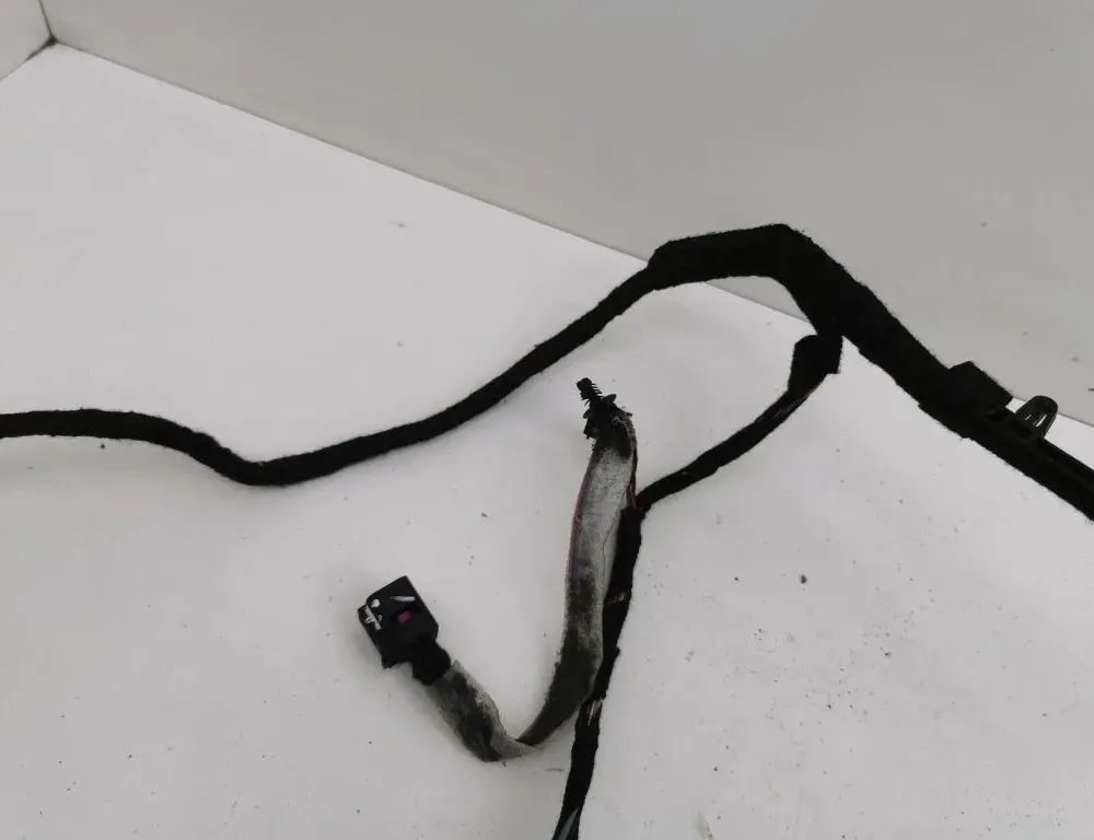 VOLVO XC90 1 generation (2002-2014) Rear Right Door Wiring D8697921002 36120776