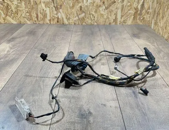 BMW X5 E53 (1999-2006) Rear Left Door Wiring 6937558,E3547SA,0055910 34560492