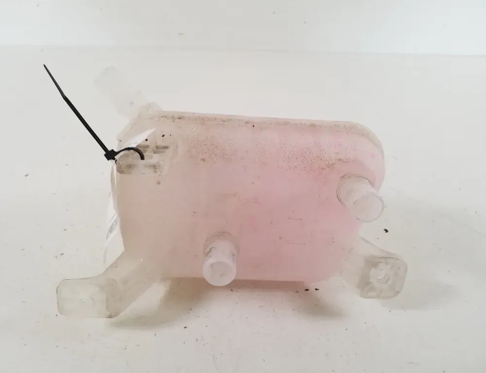 HYUNDAI IONIQ 5 1 generation (2021-2023) Expansion Tank 254R0GI500 34839605