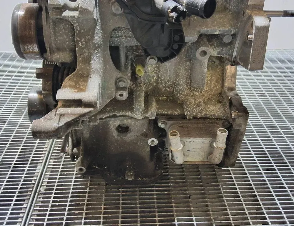 DACIA Sandero 2 generation (2013-2020) Engine 110116559R 33401589