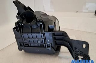 PEUGEOT 2008 1 generation (2013-2020) Блок предохранителей 9671941780,9671924480 32828318