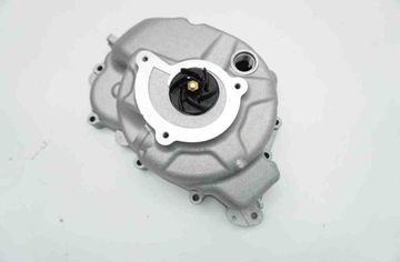 VESPA GTS (2008-present) Water pump 8798315 32598693