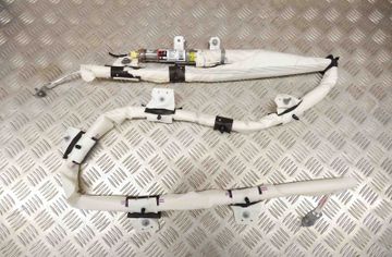 TESLA Model 3 1 generation (2017-2024) Left Side Roof Airbag SRS 1077827-CN-E 22445550