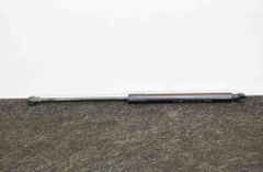 DACIA Sandero 1 generation (2008-2012) Амортизатор крышки багажника левый 904529943R 3125911