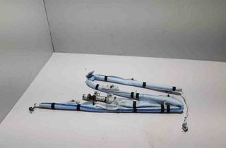 TESLA Model 3 1 generation (2017-2024) Left Side Roof Airbag SRS 1744306 30760596