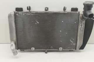 KAWASAKI Z Охлаждающий радиатор 32859152