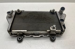 HONDA CRF (2000-present) Охлаждающий радиатор 32864686