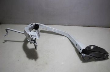 DACIA Logan 2 generation (2013-2020) Петля крышки багажника левая 32927922