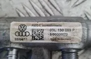 VOLKSWAGEN Passat B6 (2005-2010) Топливная рейка 03L130089P 33310347