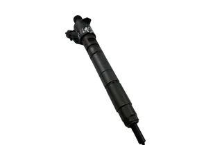 VOLVO XC60 1 generation (2008-2017) Fuel Injector 31272690 34269961