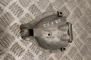 AUDI A8 D2/4D (1994-2002) Другие части внутренние двигателя 4G0399060G 33431157
