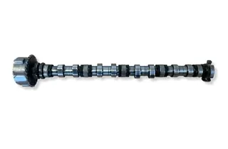 JAGUAR XE 1 generation (2014-2024) Camshaft G4D36A272BC,720587N2,72051589 36195235