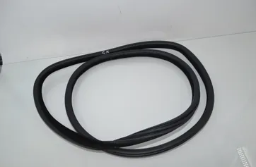 BMW X6 M F86 (2014-2020) Задняя левая дверная уплотнительная резина 7317812,51727317812 34151185