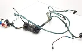AUDI A3 8L (1996-2003) Дверные кабели спереди справа 8L1971036N 31099888