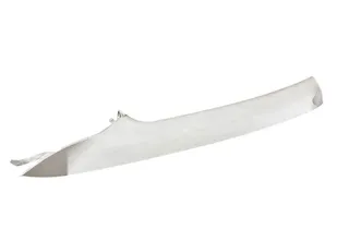 CHRYSLER Voyager 5 generation (2007-2020) Pillar (middle) 0ZR23DW1AH 36338378