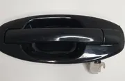 HYUNDAI Santa Fe SM (2000-2013) Наружная ручка задней правой двери 8366026000 36345756