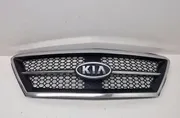 KIA Sorento 1 generation (2002-2011) Решетка бампера передняя левая 863503E020 36306164