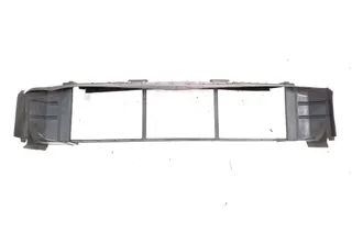 MERCEDES-BENZ A-Class W176 (2012-2018) Отвод воздуха радиатора A2465051130 34265947