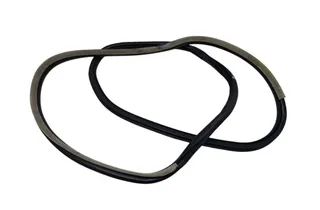 RENAULT Laguna 3 generation (2007-2015) Front Left Door Seal Rubber 34420939