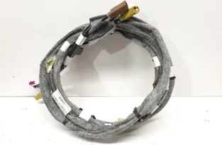 RENAULT Kadjar 1 generation (2015-2024) Cable Harness 282436540R 30217763