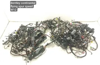 BENTLEY Continental Flying Spur 2 generation  (2008-2013) ДРУГОЙ ПРОВОДНИК 31221579