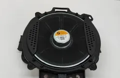 BMW X7 G07 (2018-2024) Низкочастотный динамик с правой стороны 2622516 31091042