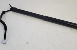 LEXUS RX 4 generation (2015-2024) Tailgate  Opening Cylinders 6892048061 33954457