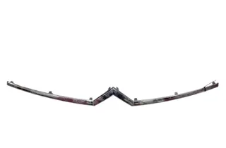 CITROËN C4 1 generation (2004-2011) Front Bumper Molding 18C0486030 36191435