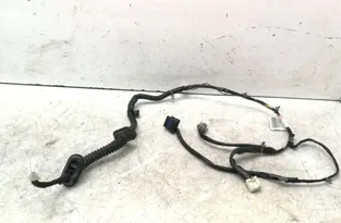 NISSAN Pathfinder R51 (2004-2014) Дверные кабели задние правые 24126EB301 30406239
