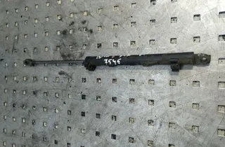 BMW 5 Series E39 (1995-2004) Front Right Bonnet Strut 61661393862 34349698