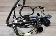 BMW X5 E53 (1999-2006) Rear Left Door Wiring 9323481,6u242103 34411768