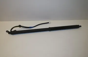 LEXUS RX 4 generation (2015-2024) Tailgate Opening Cylinders 68910-48100 21046052