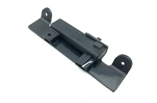 BENTLEY Continental Flying Spur 2 generation (2008-2013) Front Left Roof Handle 3D0909141E 31034060