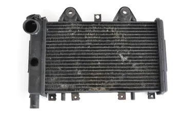TRIUMPH SPRINT Cooling radiator 2508054