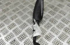 BMW F Left side rear view mirror LH 7715861 33350969