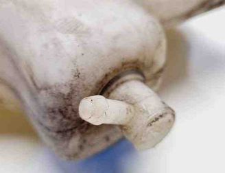 MERCEDES-BENZ E-Class W211/S211 (2002-2009) Window Washer Tank 2108601160 31072504