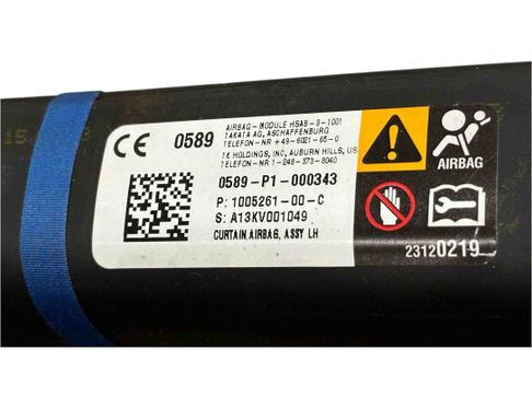 TESLA Model 3 1 generation (2017-2024) Подушка безопасности потолка левая 100526100C 29979880