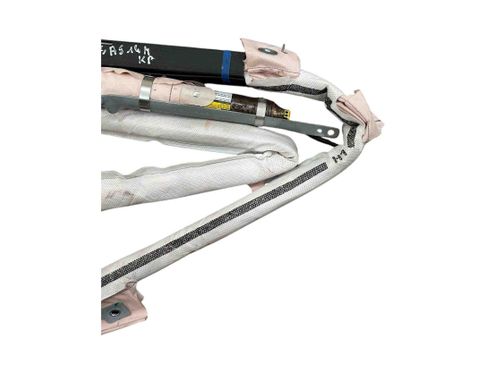 TESLA Model 3 1 generation (2017-2024) Подушка безопасности потолка левая 100526100C 29979880