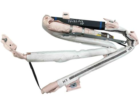 TESLA Model 3 1 generation (2017-2024) Подушка безопасности потолка левая 100526100C 29979880