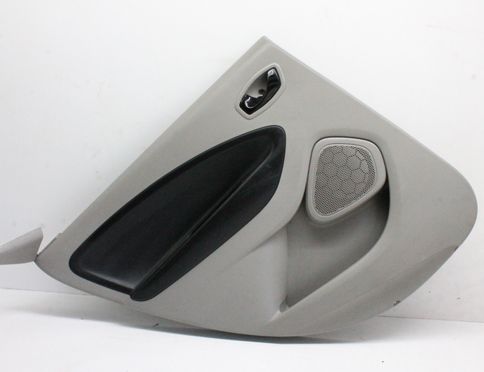 RENAULT Zoe 1 generation (2012-2023) Rear Left Door Panel 829A14749R 32972269