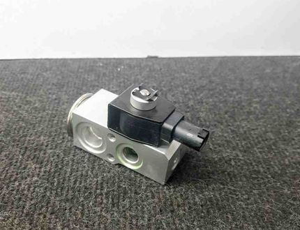 TESLA Model 3 1 generation (2017-2024) Air conditioner expansion valve 1101878-00-A 11317974