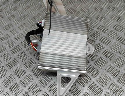 TESLA Model 3 1 generation (2017-2024) Sound Amplifier 1079748-00-E 28300052