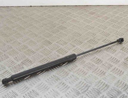 DACIA Sandero 2 generation (2013-2020) Left Side Tailgate Gas Strut 904529943R 3356336