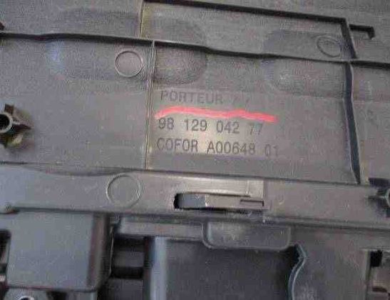 CITROËN C3 2 generation (2009-2016) Front Right Door Panel A0064801,9812904277 32464580