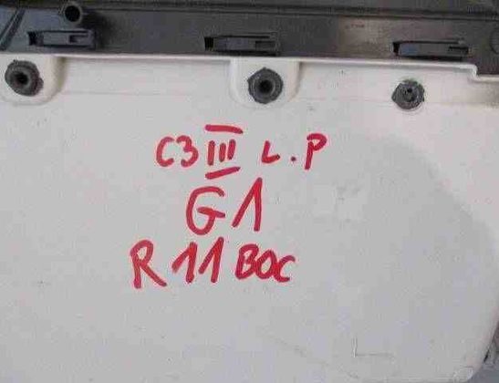 CITROËN C3 2 generation (2009-2016) Front Right Door Panel A0064801,9812904277 32464580