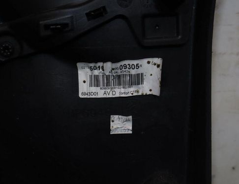 RENAULT Clio 3 generation (2005-2012) Front Right Door Panel 32902456