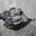RENAULT Trafic 2 generation (2001-2015) Топливный насос 0445010406 22471202