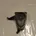 Rear Left Door Sound Speaker