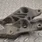 MINI Cabrio R57 (2008-2015) Gearbox Mount Bracket 6780439 15389710